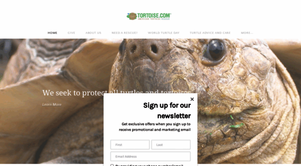 tortoise.com