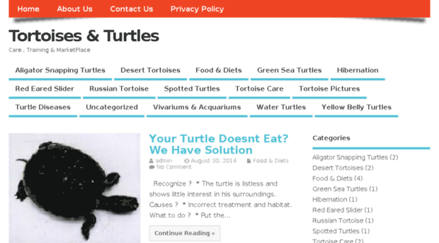 tortoiseandturtles.com