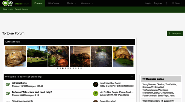 tortoiseforum.org