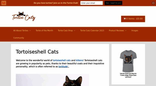 tortoiseshellcats.co.uk