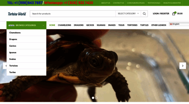 tortoisesworld.com