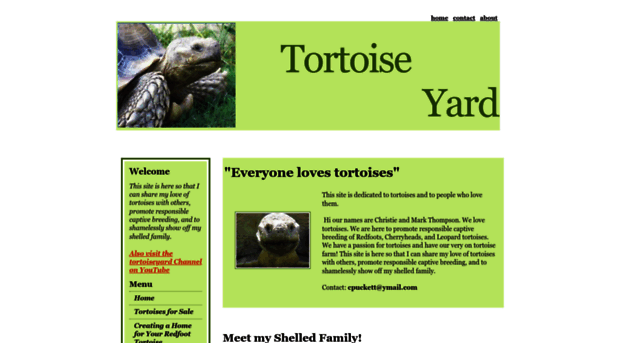 tortoiseyard.com