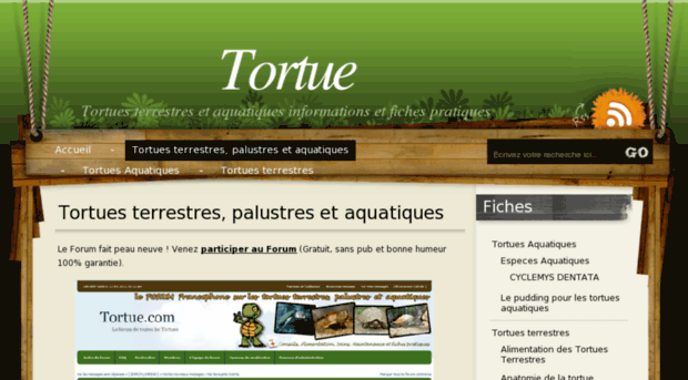 tortue.com