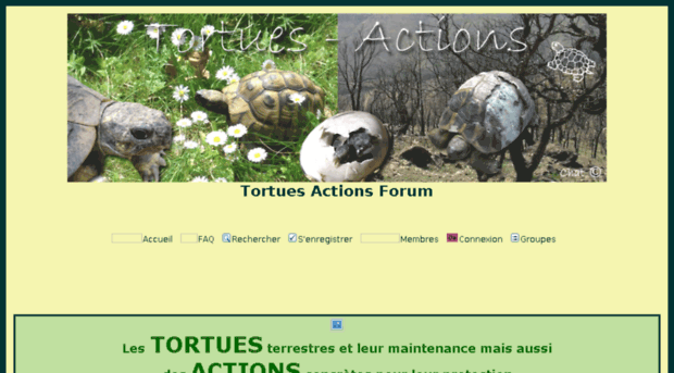 tortues-actions.naturalforum.net