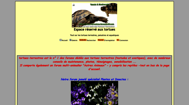 tortues-terrestres.forumactif.com