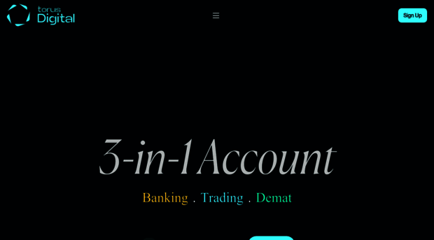 torusdigital.com