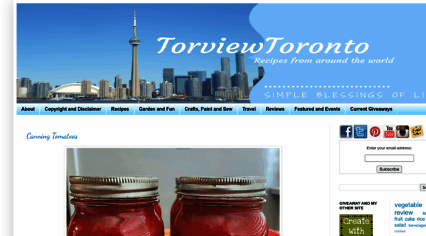 torviewtoronto.com