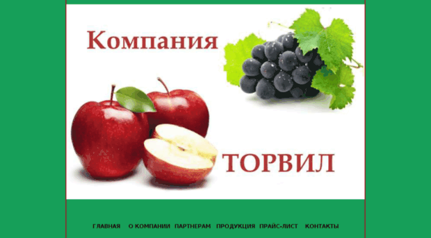 torwill.ru