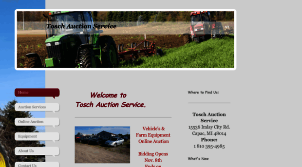 toschauction.com