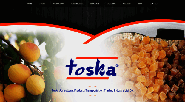 toskaexport.com