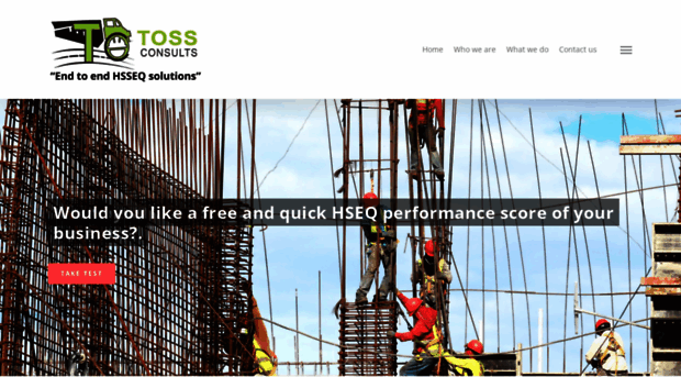 tossconsults.com
