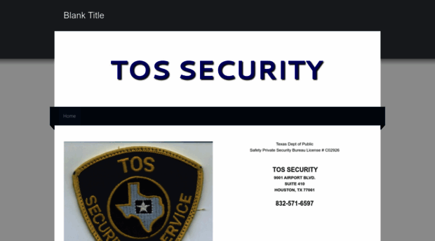 tossecurity.com