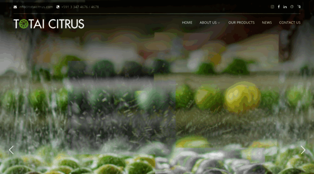 totaicitrus.com