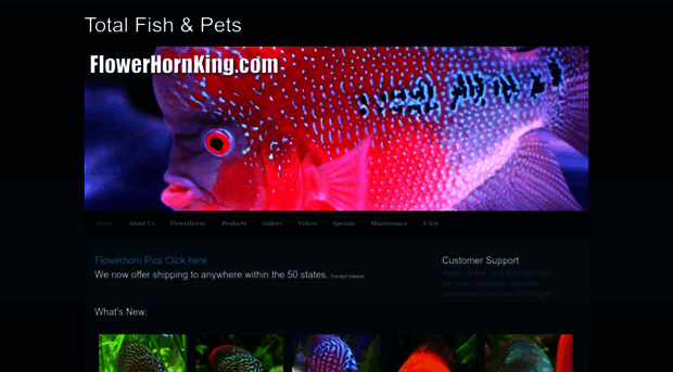 totalfish.weebly.com