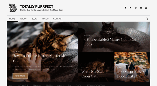 totallypurrfect.com