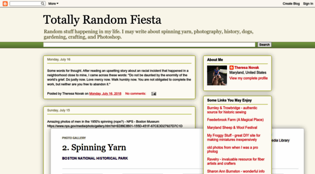 totallyrandomfiesta.blogspot.com