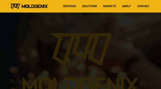 totalmoldingservices.com