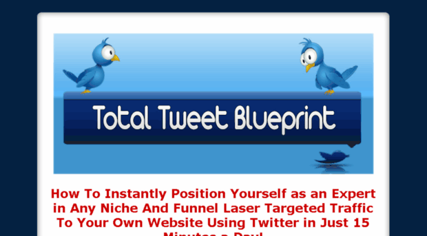 totaltweetblueprint.com