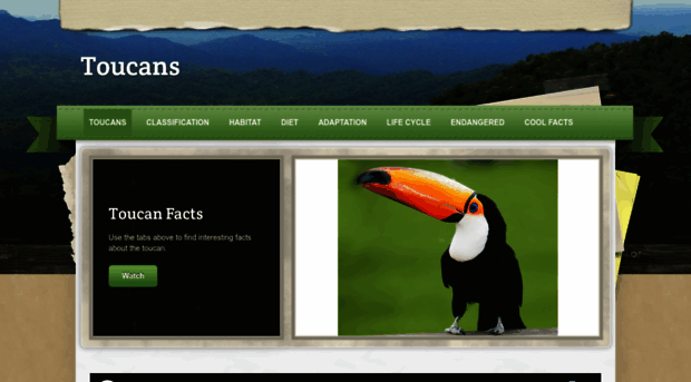 toucanfacts.weebly.com