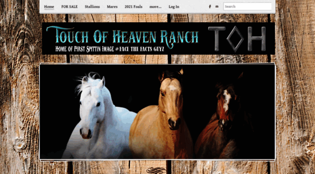 touchofheavenranch.com