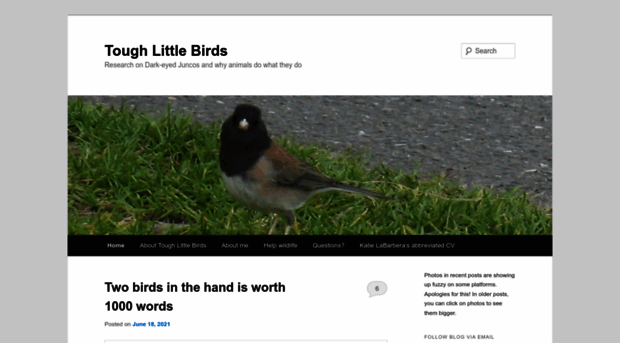 toughlittlebirds.com