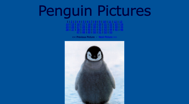 toughpenguin.com