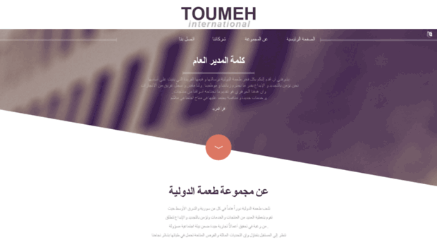 toumehintl.com