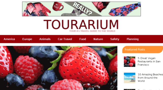 tourarium.com