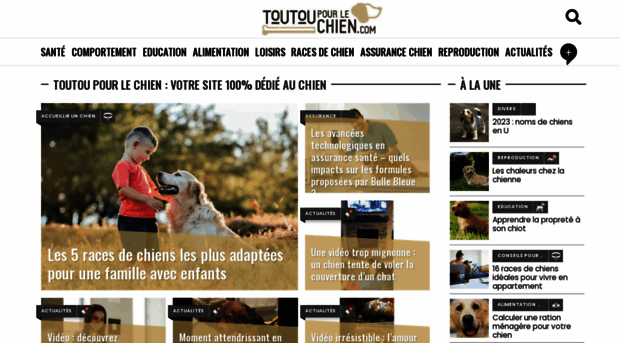 toutoupourlechien.com