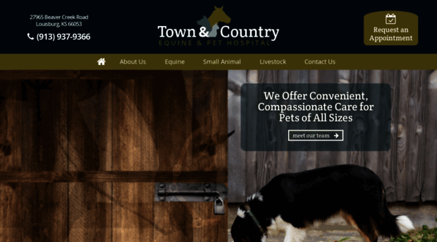 townandcountryequinehospital.com