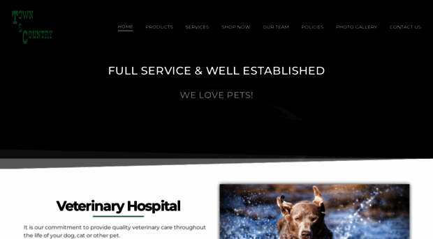 townandcountryvet.net