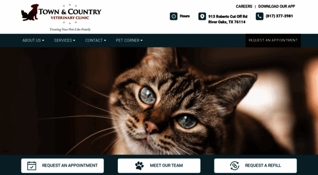 townandcountryvetclinic.net