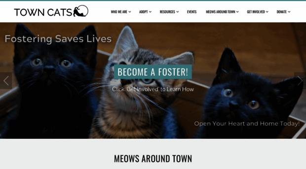 towncats.org