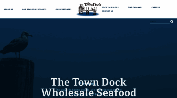 towndock.com