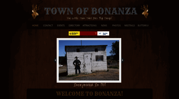 townofbonanza.com