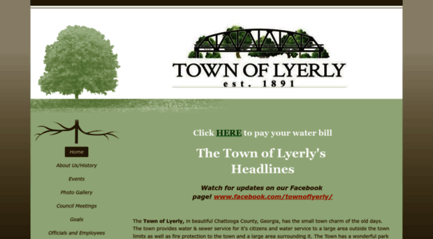 townoflyerly.com