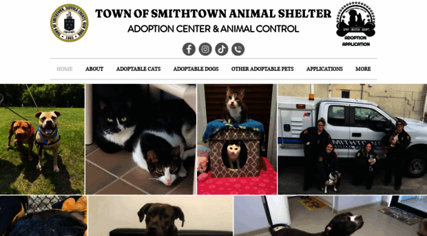 townofsmithtownanimalshelter.com