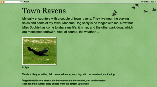 townravens.blogspot.com