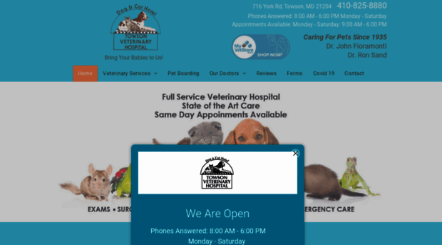 towsonveterinary.com