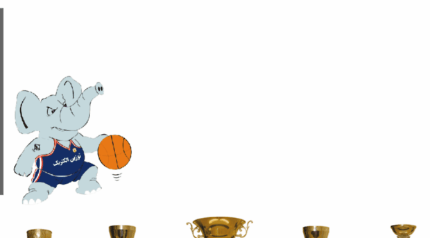 towzinbasketball.com