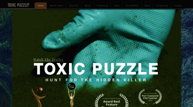toxicpuzzle.com