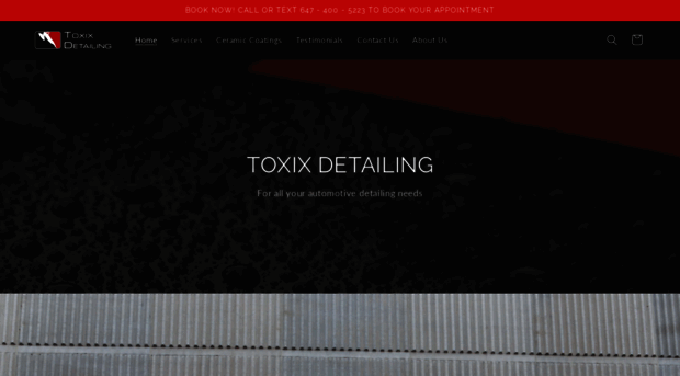 toxixdetailing.com