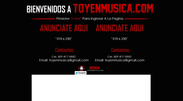 toyenmusica.com