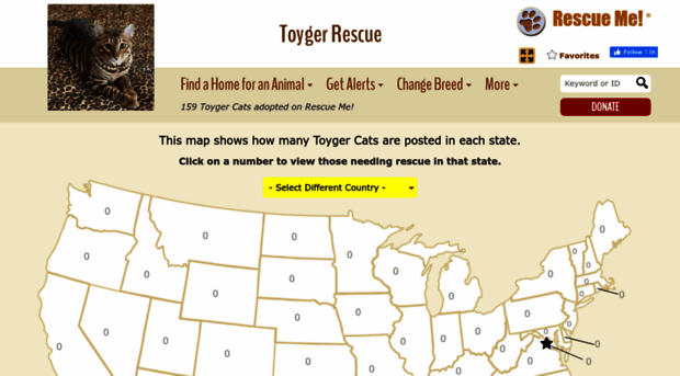 toyger.rescueme.org