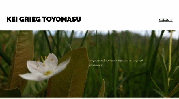 toyomasu.com