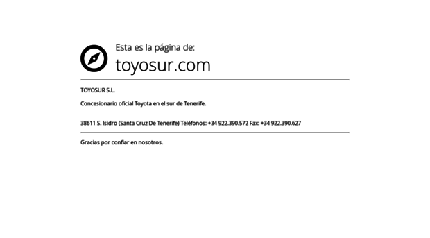 toyosur.com