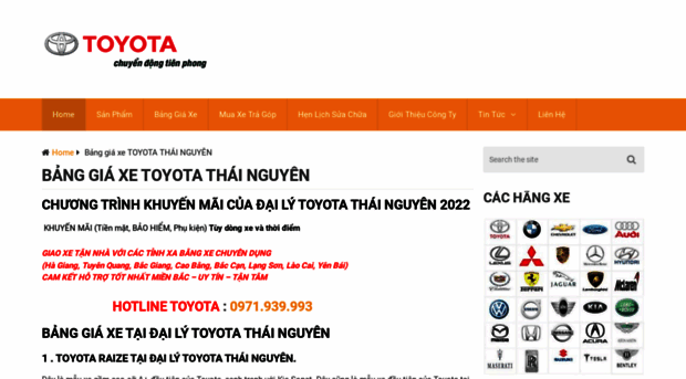 toyotathainguyen.org