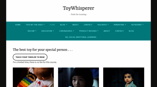 toywhisperer.blog