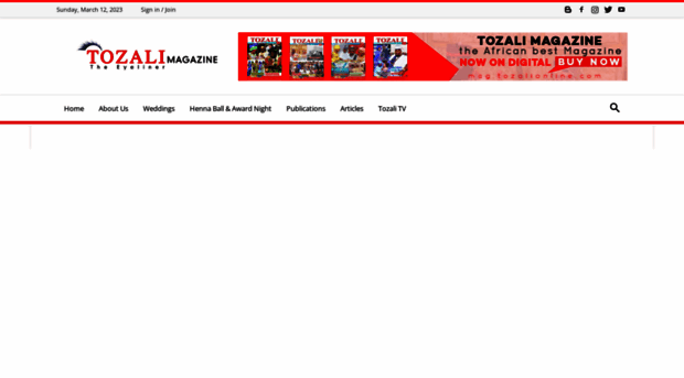 tozalionline.com