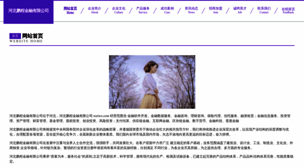 toziwo.com